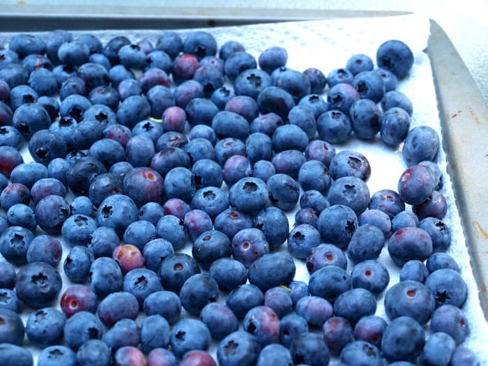 After washing the berries, lay them flat on a baking tray, pat dry and place in freezer until frozen.
