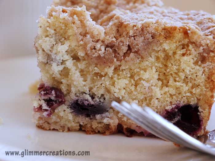 Blueberry Rhubarb Coffee Cake Recipe - Perfect for all of those frozen blueberries that may be in your freezer.