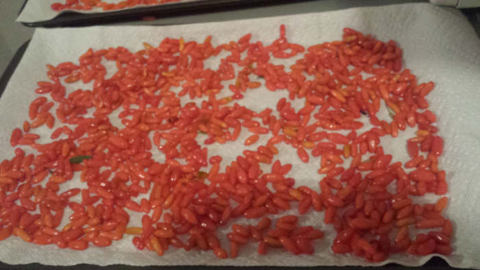 Step two: Spread out the goji berries evenly across the surface of your cardboard tray or cookie sheet.