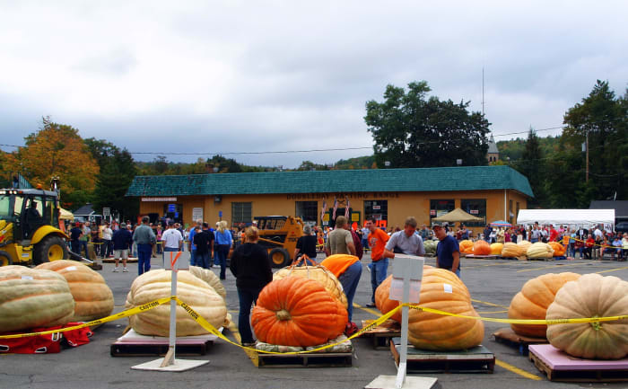 Giant pumpkins in a competition in Cooperstown NY. I have found that substituting pumpkin or other squash for some of the tomato in a recipe greatly reduces the heartburn I would otherwise experience.