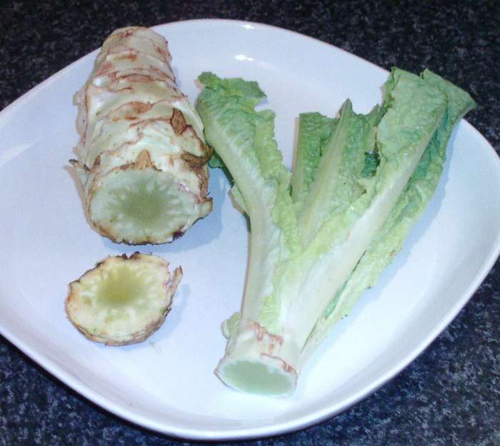Celtuce or Stem Lettuce Recipes and Serving Suggestions Delishably