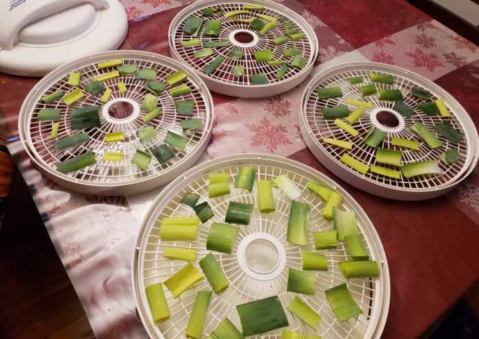 Arrange the tops on a food dehydrator tray or in an oven on parchment paper. We use the food dehydrator.
