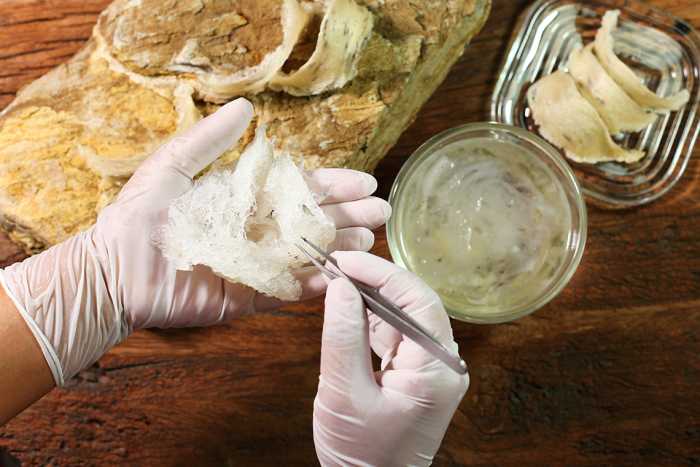 Raman spectroscopy is a non-destructive method to provide molecular information on a sample of edible bird's nest (EBN) with good sensitivity and specificity.