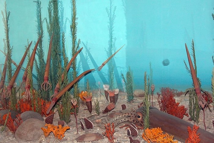 A reconstruction of life in the Ordovician seas which included trilobites and squid.