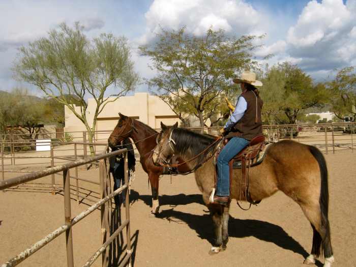 Here's a new horse watching from the outside as my older, experienced horse lends moral support.