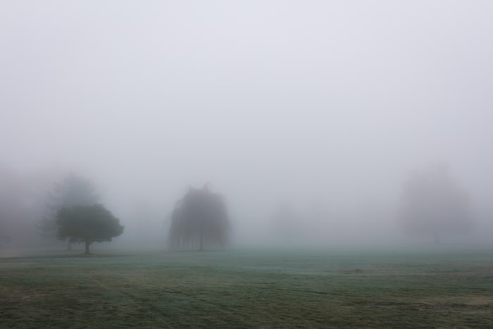 Ist Ihr Feld in Nebel gehüllt oder in Sonne gebadet?