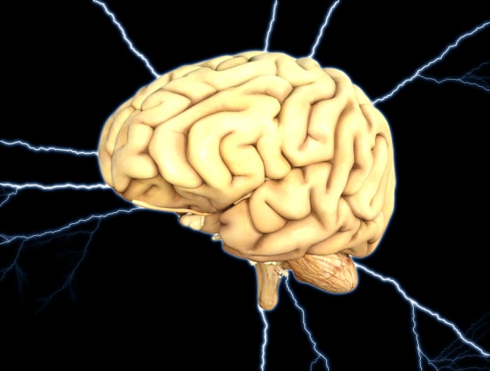 People with neurodegenerative diseases such as Alzheimer's or Parkinson's often choose to leave their brains to Brain Banks.