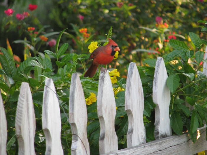 Should businesses in sensitive environmental areas be urged to develop green spaces for wild life and for peaceful recreation for employees?
