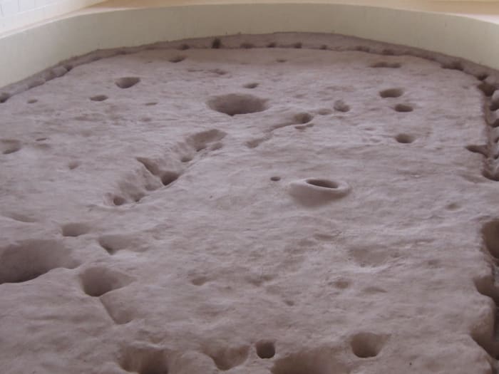Remains of floor of 11th Century Pit House above. Holes are for posts that supported the roof. Size indicates it may have been used for community ceremonies.