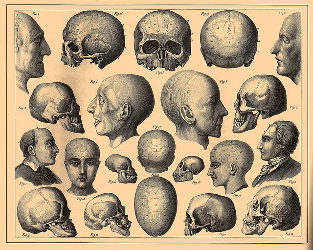 Images from the Brockhaus and Efron Encyclopedic Dictionary published in Imperial Russia in 1890-1907