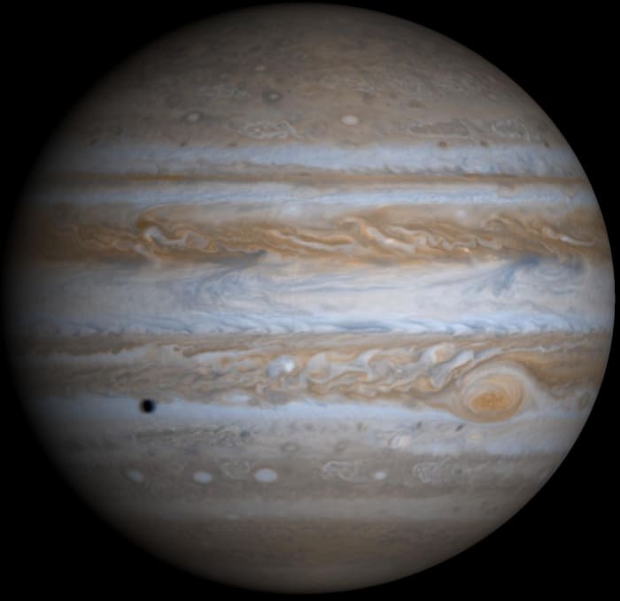 True-color photo from Cassini wrapped on globe by JPL imaging. Yes, Jupiter really is that fat. It spins incredibly fast. (The black spot is the shadow of one of its moons.)