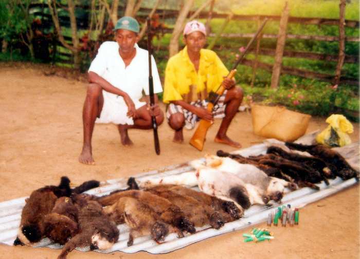Bushmeat hunters very likely carried HIV from apes to humans