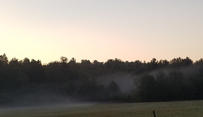 The mist over the field seems dreamy, and our dreams may be both beautiful and informative. They are gifts from our Shadow selves to help us heal.