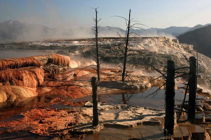 In Yellowstone NP, sometimes geothermal activity comes very close to the earth's surface