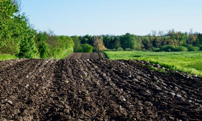 Organic soils are very good for farming due to the nutrients they contain from decaying plants. If it looks good for your garden or farm, it's probably an organic soil.