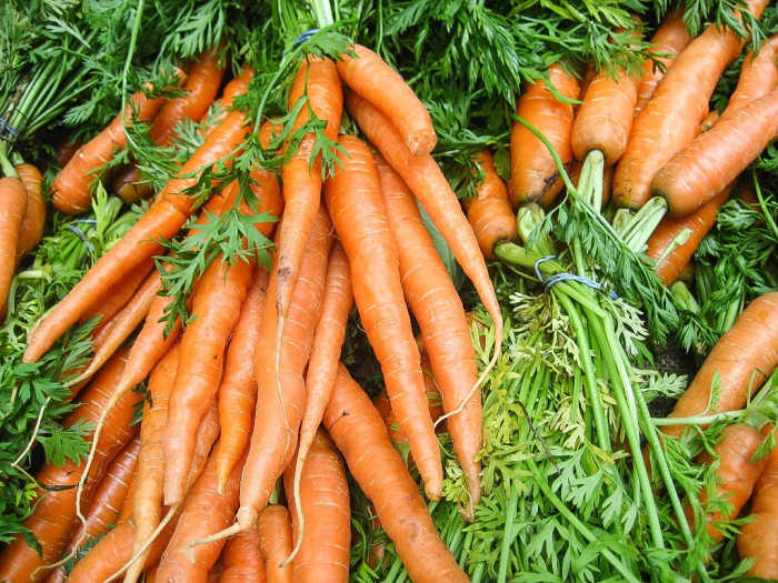 Carrots are rich in a pigment called beta-carotene. Our bodies convert this pigment to vitamin A. The vitamin is essential for producing a visual pigment named rhodopsin.