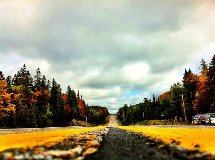 The Highway 60 that runs through Algonquin Provincial Park is a hot spot for wildlife activity. My first eastern wolf sighting was along this highway, near Brewer Lake in Algonquin Park.