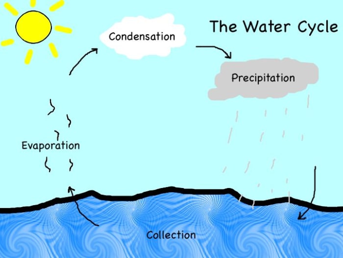 A clear, colorful image of the water cycle. Visuals are invaluable in helping ELLs make sense of new content.