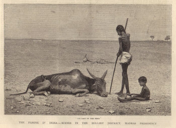 A scene from one of the famines in British India : tens of millions at the least died throughout British rule of hunger.