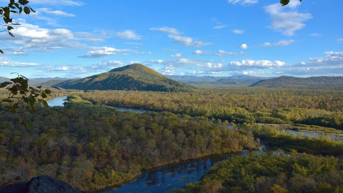 Habitatul natural al tigrului siberian. Datorită naturii solitare a animalului, acest tip de mediu este perfect pentru nevoile tigrului siberian.