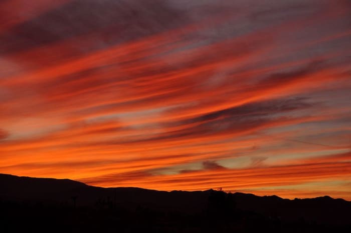 The subtitle of Blood Meridian is The Evening Redness in the West. The redness of the bloody atrocities caused by the people in the prose is as natural as the sunset coloring the evening sky. In other words, we are murdering monkeys.