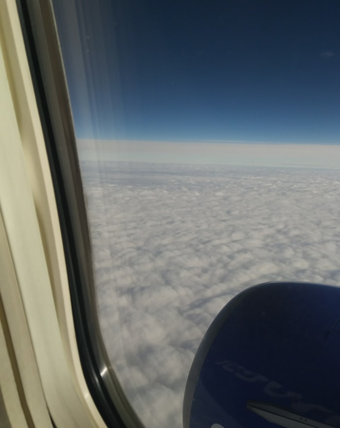 If I was stuck inside a claustrophobic flying metal tube for three hours between San Diego and Nashville for three hours with only Blood Meridian to keep me entertained for three hours, would it do the job for three hours?