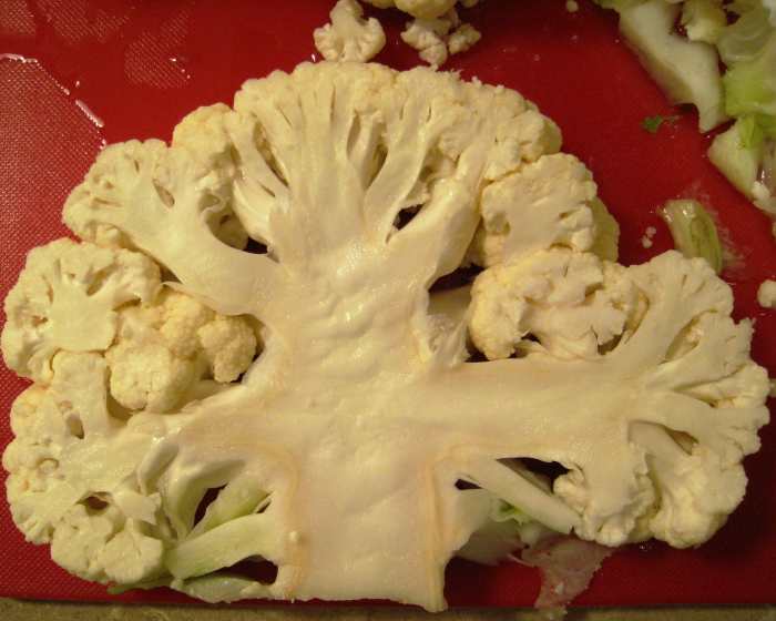 Thanks for the visual, Mother Nature, and for the smell, too. Cauliflower looks like a brain, with its compact head, florets and central stalk. Cruciferous vegetables emit a foul sulphur odor that smells like rotten eggs when cooked.