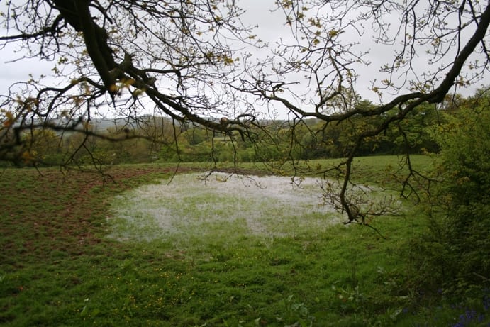 A spring, located near to St. Kenelm's church is believed to be the original sacred well, with votive offerings found in the waters.