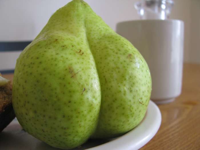 Sometimes she has fun with the random fruit. She made this one look like a human backside.