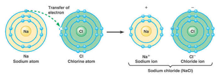 An ionic bond is formed in a compound when the electrons from the outermost shell of an atom are actually transferred to the outermost shell of the combining atom.
