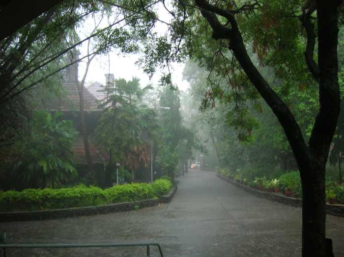 Monsoon rains are caused by Sun's position in the sky
