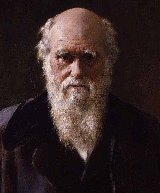 Since Darwin first explained his theory of evolution by natural selection in the nineteenth century, an overwhelming amount of evidence has been accumulated, from palaeontology to genetics, to support it.