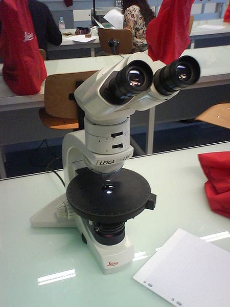A light microscope, such as this one in a modern laboratory, can be used to see individual cells in living organisms.