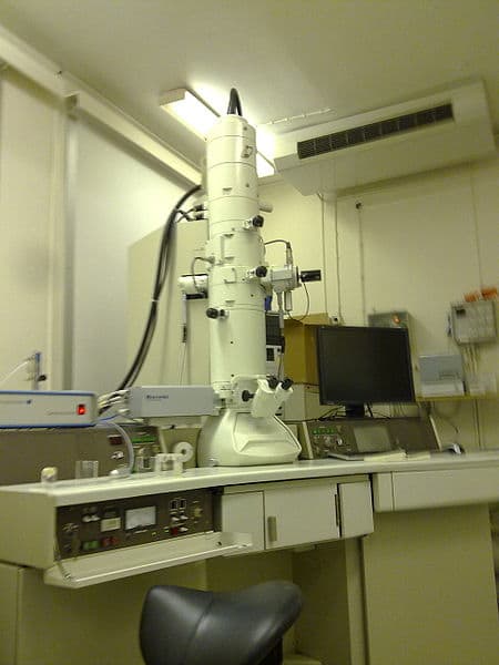 A transmission electron microscope is a powerful instrument that beams electrons through the sample. It enables us to see the tiny components, organelles and other features at work within the cell.