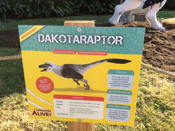The Dakotaraptor model is more heavyset than the version shown on the identification sign. An explanation for this disparity would have been useful for the public.