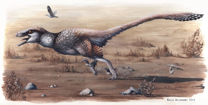A scientific illustrator's impression of Dakotaraptor