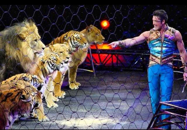 Alexander Lacey plays with his big cats during this performance. Ringling Bros. and Barnum & Bailey presents Legends (2014-2016)