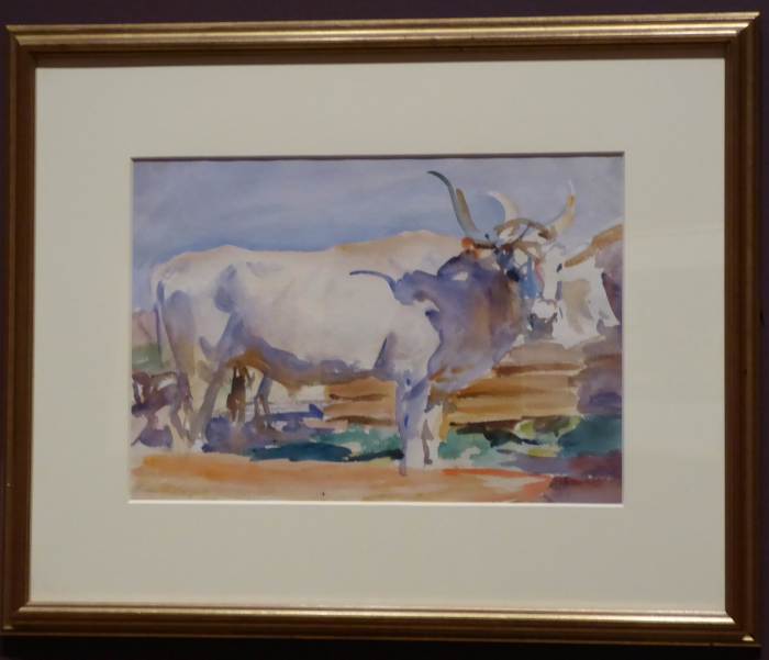 Sargent was fascinated by the Chianina ox. He painted many of these magnificent beasts. Copyright image by Frances Spiegel with permission from Dulwich Picture Gallery. All rights reserved.