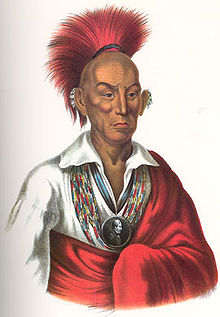 In 1832 Black Hawk, a Sauk-Fox Indian, lead a short war against the U.S. The war ended when Black Hawk was captured and imprisoned for a year.