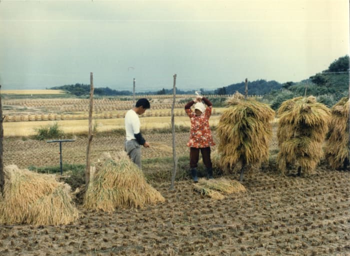 Farming still remained materially much the same until decades after the Second World War, as shown by this picture from the 1950s, but the structure in which it was placed had dramatically changed.
