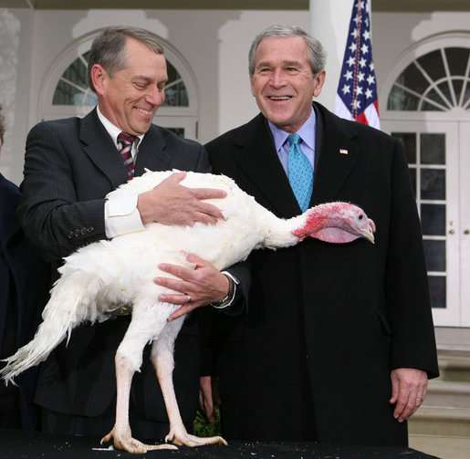A presidential pardon doesn't add much time onto a turkey's life.