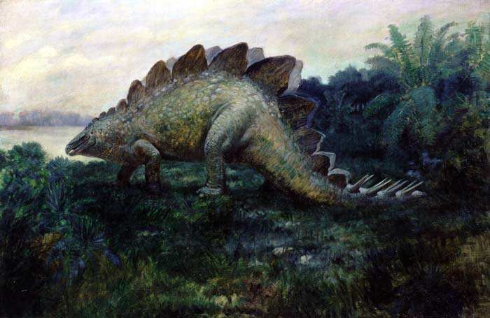 Life restoration of Stegosaurus ungulatus Marsh. By Charles R. Knight, 1901. After F.A. Lucas.