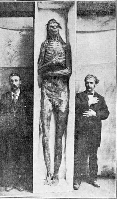 Although later claimed to have been a hoax, this giant/nephilim remains were found in San Diego. The Smithsonian bought it in 1895.