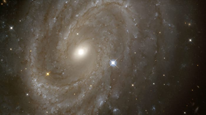 A view of a spiral galaxy from NASA Hubble Space Telescope (HST) in which variable stars have been found