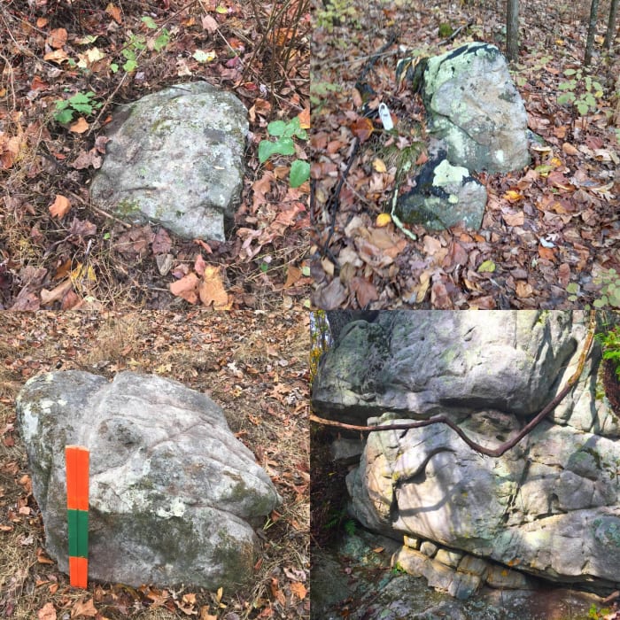 Sometimes rocks are not just rocks. What do you see?