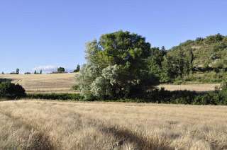 Typical landscape near Manosque, France as described into Giono’s novels.
