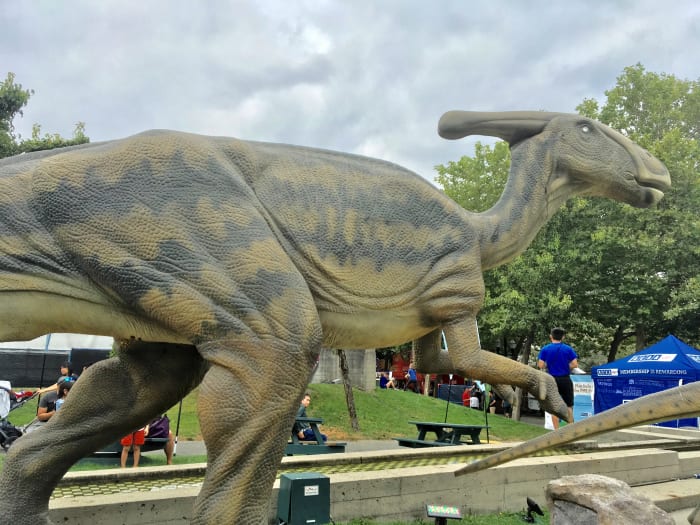 Instead of being automatically animated, the Parasaurolophus model was controlled by visitors pressing buttons on a control pad.