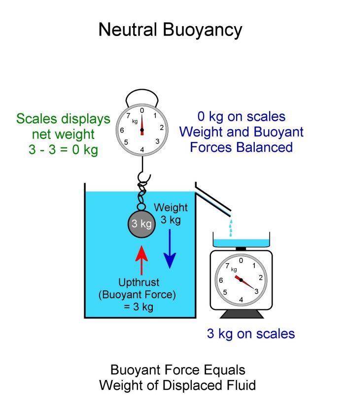 Neutral Buoyancy. Body can be positioned anywhere under the surface. Buoyancy force and weight of ball are equal.