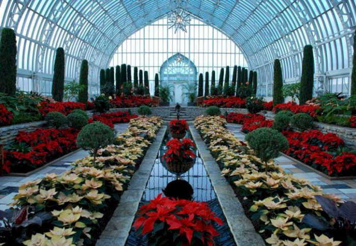 Como Park Zoo and Conservatory: from tigers, elephants, monkeys, polar bears, and giraffes to birds, fish and insects, you can get up close and personal with all these exotic animals. Photo Courtesy of Facebook/Como Park Zoo & Conservatory