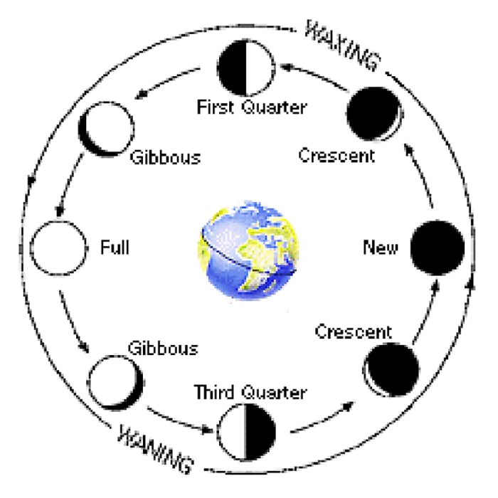 This diagram shows the phases of the Moon as it rotates counter-clockwise around the Earth, beginning with the New Moon when the Moon is between the Sun and Earth